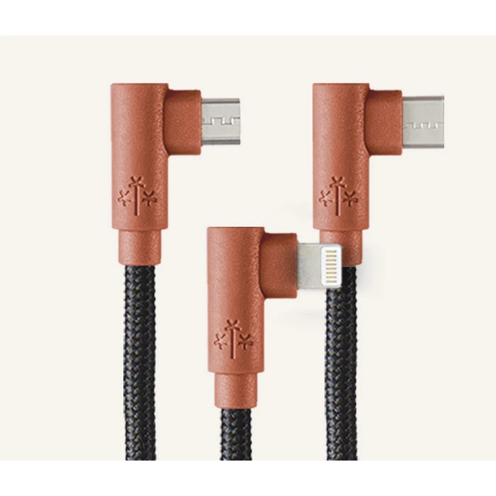 AT-ACC-CA-319COR