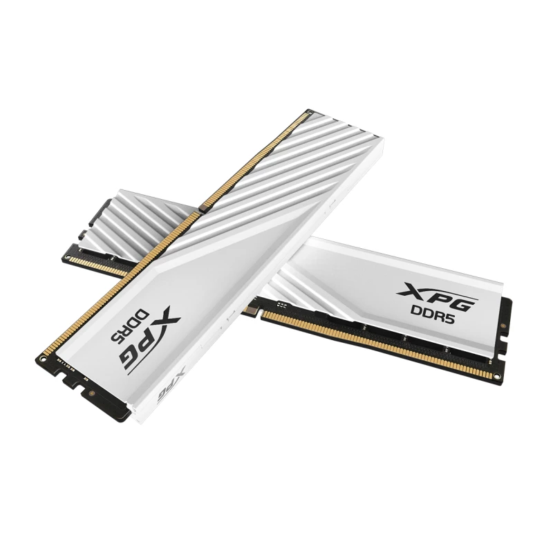 AX5U5600C4632G-SLABWH