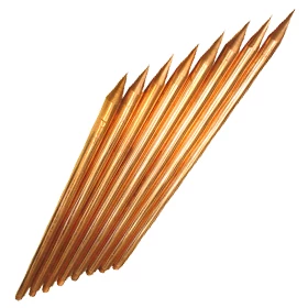 TG-VAR-1558