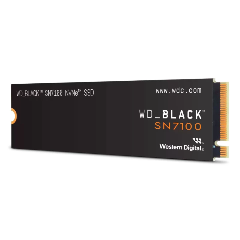 WDS100T4X0E-00CJA0