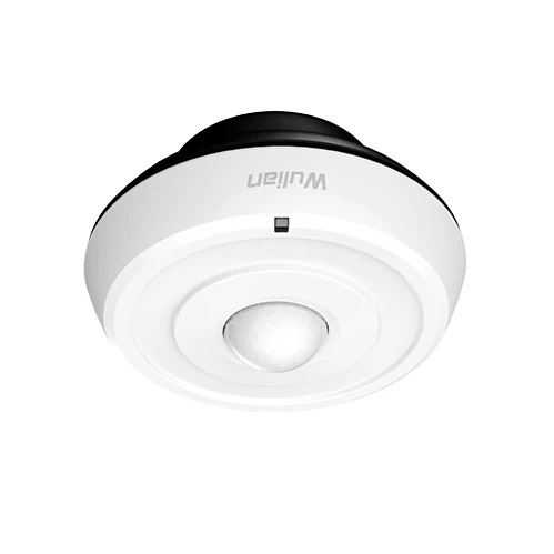 WL-ZSPWBPW-PI11-01